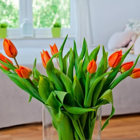 Aqua Beach#pool#sauna#jacuzzi No Limit Appartamento Kołobrzeg