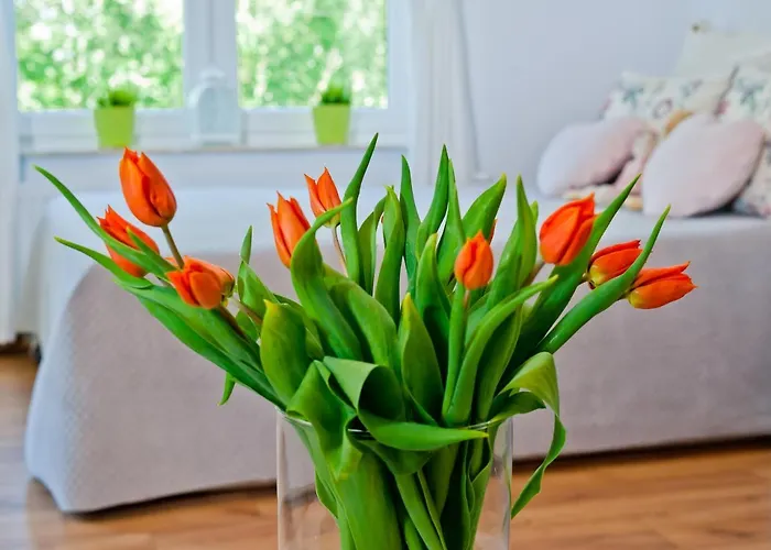 Aqua Beach#pool#sauna#jacuzzi No Limit アパート コウォブジェク